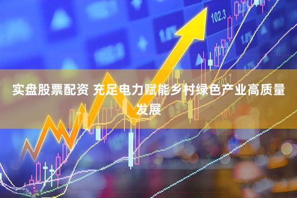 实盘股票配资 充足电力赋能乡村绿色产业高质量发展