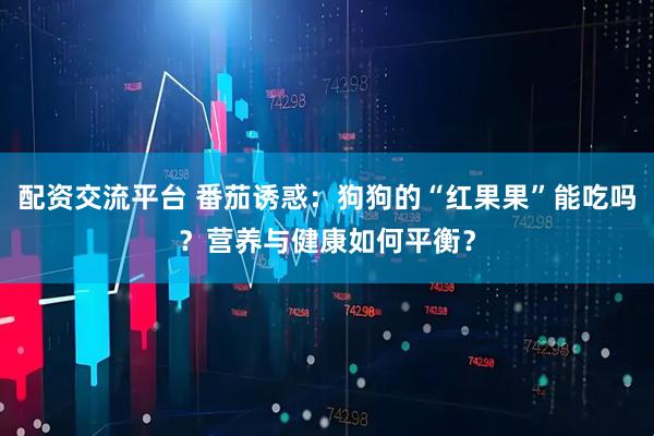 配资交流平台 番茄诱惑：狗狗的“红果果”能吃吗？营养与健康如何平衡？